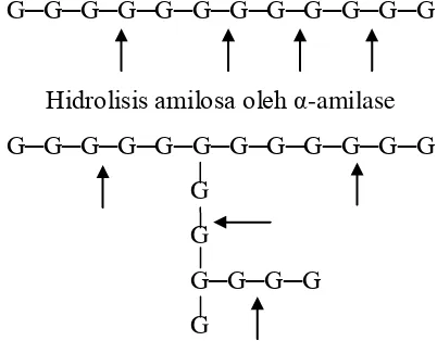 Gambar 7. Skema Kerja α-amilase 