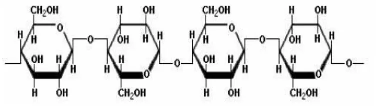 Gambar 2. Struktur Kimia Selulosa 