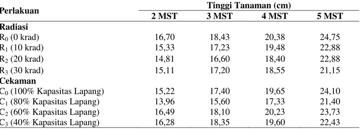 Tabel  2.  Rataan  tinggi  tanaman  pada  2  MST,  3  MST,  4MST,  5MST  dengan  radiasi  sinar  gamma  dan cekaman kekeringan 
