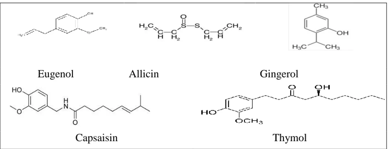 Gambar 1. Contoh Struktur Molekul Senyawa Antibakteri 