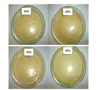 Gambar 1. KHM ekstrak kulit biji Gnetum  gnemon pada konsentrasi 25%  Uji Diameter Daerah Hambat (DDH)  
