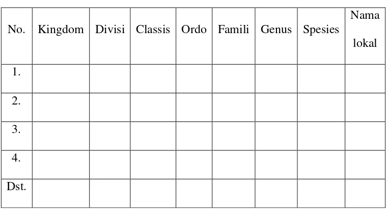Tabel 3.2 Klasifikasi 