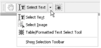 Figure 1-8. TAPS adding the Table/Formatted Text Select Tool under your Select Text button