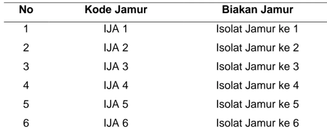 Tabel 2. Hasil Makroskopik Isolat Jamur 