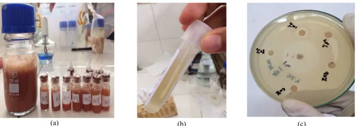 Gambar 1. (a) Ekstrak air metode SW E tanaman obat uji, (b) Sampel feses di dalam 