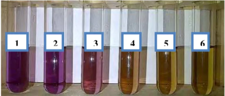 Gambar  2.  Hasil  Pengujian  Daya  Antioksidan  Dengan  Metode  DPPH  Secara  Kualitatif  (reaksi warna) Ekstrak Etanol 96% Daun Katuk 