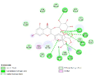 Gambar 2 Interaksi ligan antara dexametason (kontrol) dengan dengan reseptor COX-2  dengan metode in silico 
