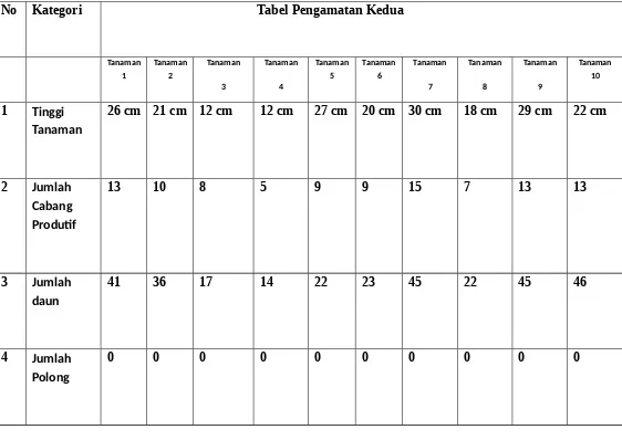 Tabel Pengamatan Kedua