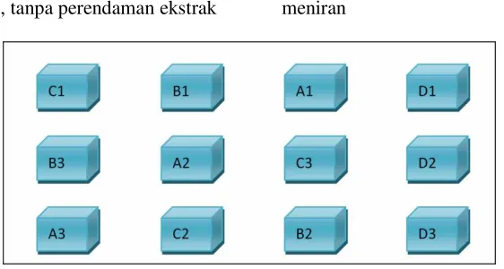 Gambar 1. Lay Out Wadah Penelitian 