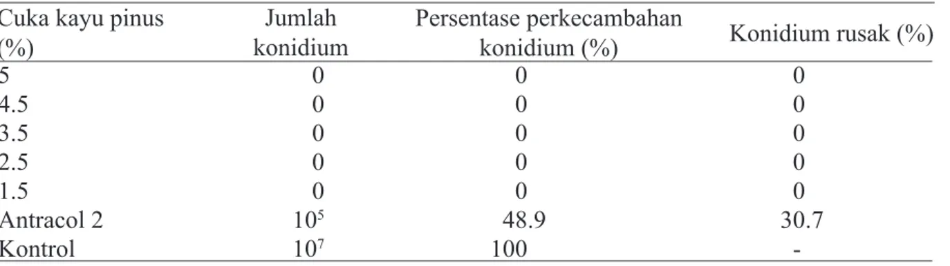 Tabel 3  Perkecambahan konidium C. capsici oleh cuka kayu pinus Cuka kayu pinus 