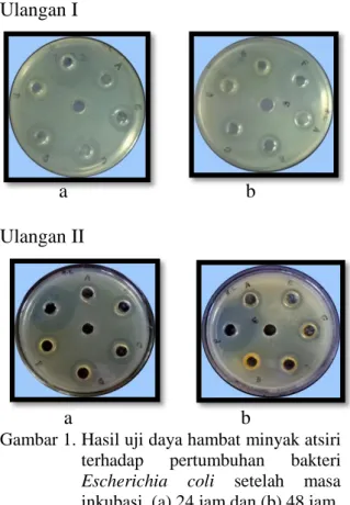 Gambar 1. Hasil uji daya hambat minyak atsiri  terhadap  pertumbuhan  bakteri 