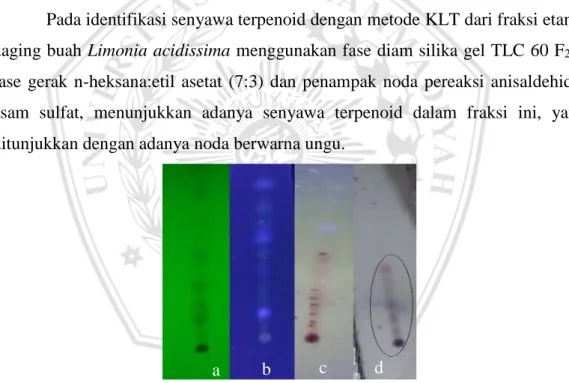Gambar 5.4.  Hasil identifikasi terpenoid dengan metode KLT (a) UV 254, (b) UV  365,  (c)  UV  365  setelah  diberi  penampak  noda,  (d)  secara  visual  setelah diberi penampak noda yang menunjukkan hasil positif
