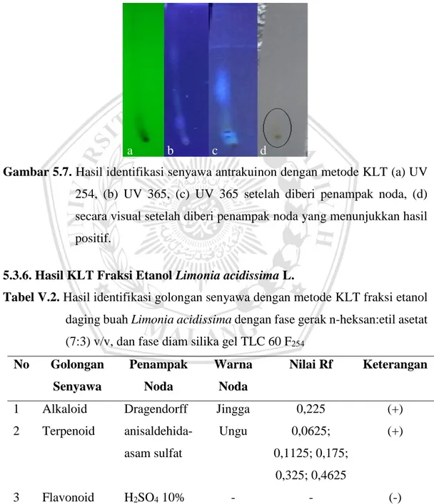 Gambar 5.7. Hasil identifikasi senyawa antrakuinon dengan metode KLT (a) UV  254,  (b)  UV  365,  (c)  UV  365  setelah  diberi  penampak  noda,  (d)  secara visual setelah diberi penampak noda yang menunjukkan hasil  positif