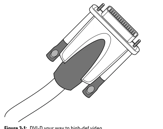 Figure 3-1: DVI-D your way to high-def video.