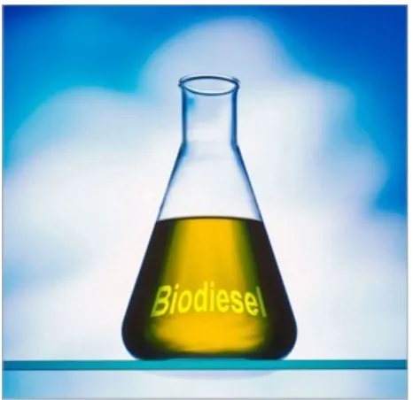 Gambar Biodiesel