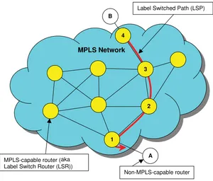 Figure 1.3MPLS label switched paths