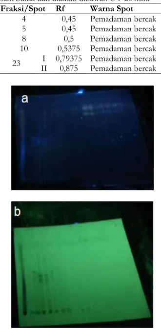 Tabel  1.  Pemilihan  19  fraksi  dari  39  fraksi  yang  diperoleh dan 1 ekstrak pada plat KLT