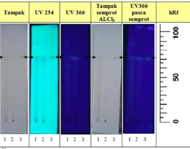 Gambar 2. Profil kromatogram fraksi air terhidrolisis daun mengkudu (DM) dengan pembanding  kuers etin 