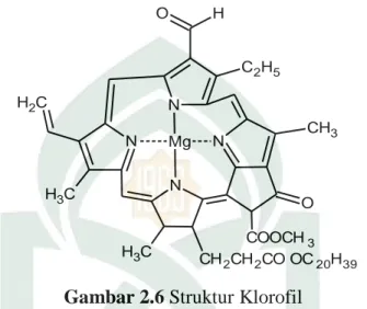 Gambar 2.6 Struktur Klorofil 