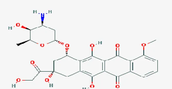 Gambar  2.6 Struktur kimia doxorubicin (Pubchem, 2016) 