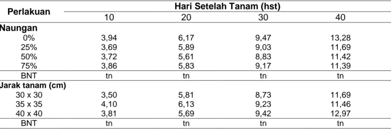 Tabel 3. Rerata jumlah daun tanaman kale (helai) akibat perlakuan naungan dan jarak tanam 