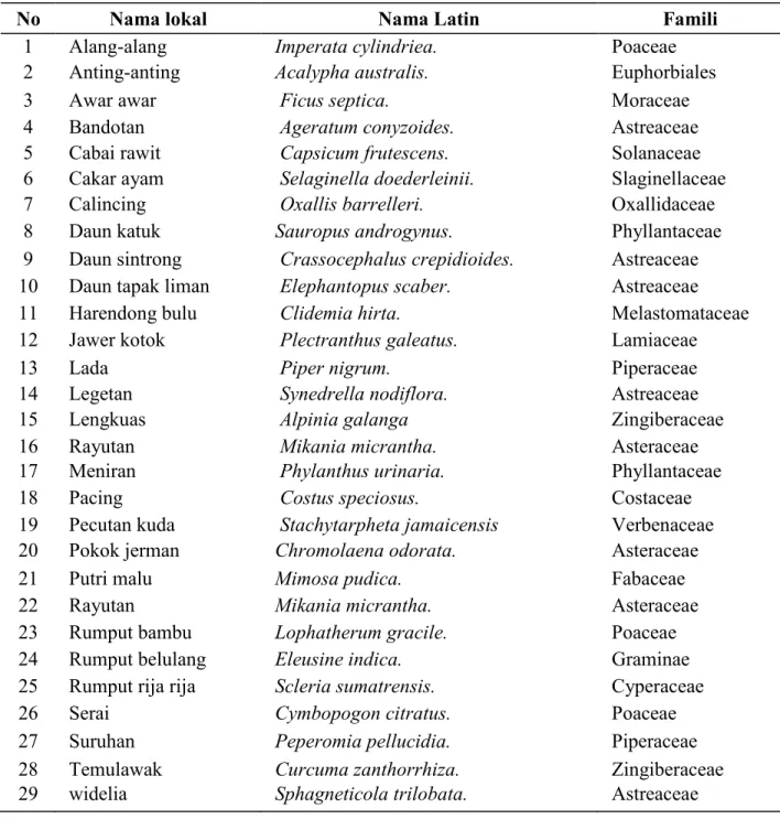 Tabel  1.  Jenis-jenis  tumbuhan  obat  yang  terdapat  di  areal  garapan  petani  KPPH  Talang  Mulya 