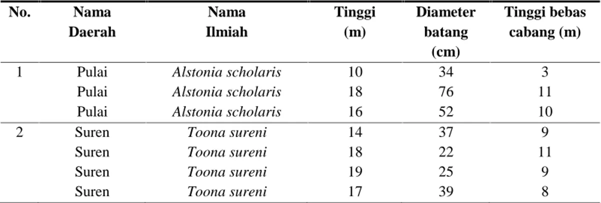 Tabel  4.    Hasil identifikasi dan skoring pohon  plus/induk di  blok  koleksi  tumbuhan  Tahura Wan Abdul Rachman