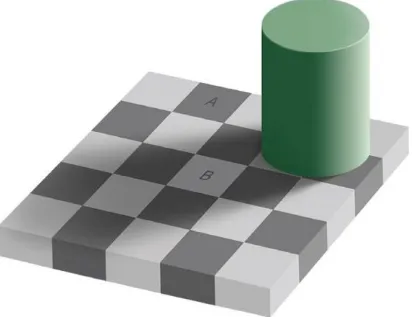 Figure 1.1 The Checker Shadow Illusion. Squares A and B are identical. They are presented here as related colours, that is