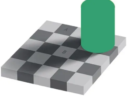 Figure 1.3 Previously the cylindrical object appeared to be uniformly green. Now it is uniformly green, but it does not