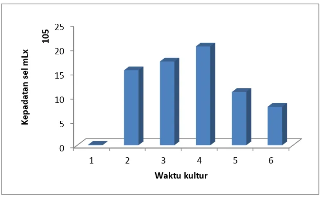 Gambar 5.  Kepadatan harian Emiliania huxleyi sp., pada perlakuan konsentrasi    karbondioksida (CO2) 750 ppm