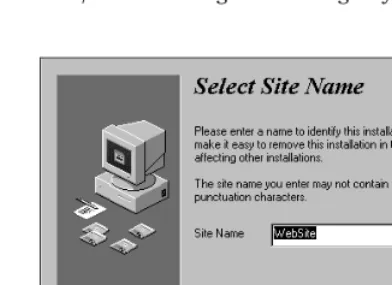 Figure 2-1: Naming your Web site