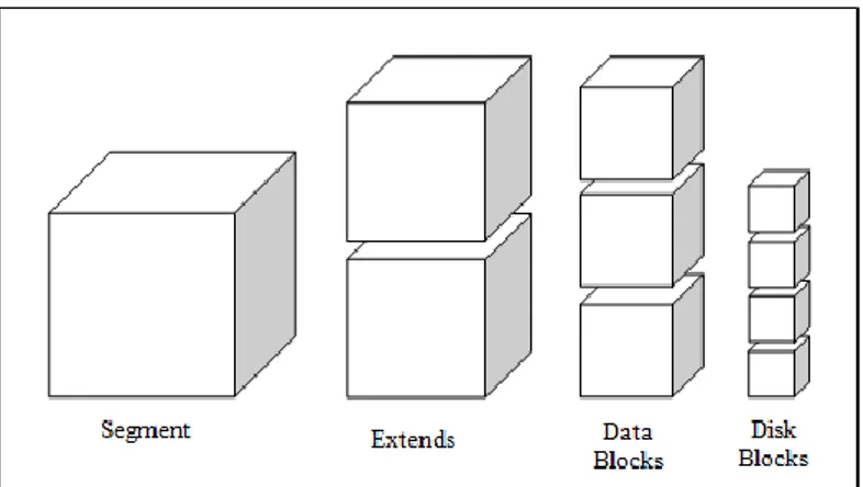 Gambar 4. Segment, Extends, Data Blocks, dan Disk Blocks 