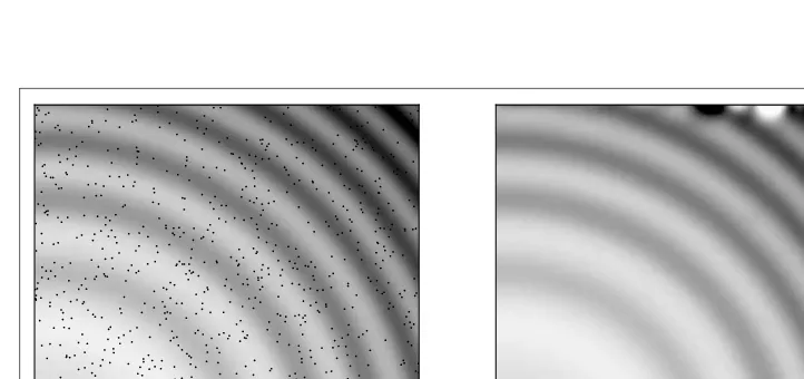 Figure 3-9. Original image with random sample (black points, left) and the interpolated image (right).
