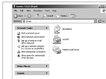 Figure 1-4. Displaying local and network drives in My Computer