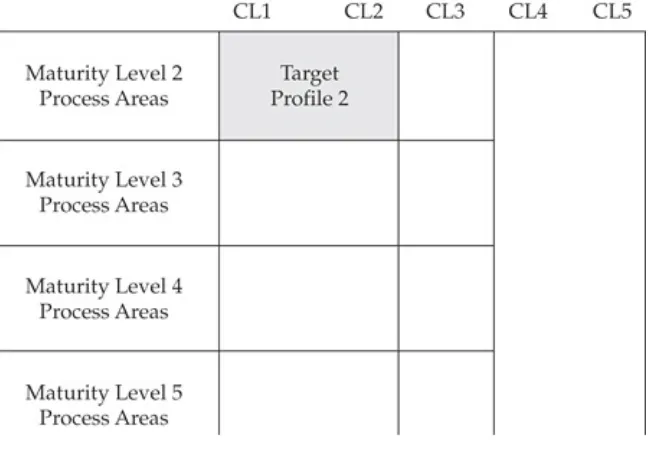 Figure 5-3. Target profile 3