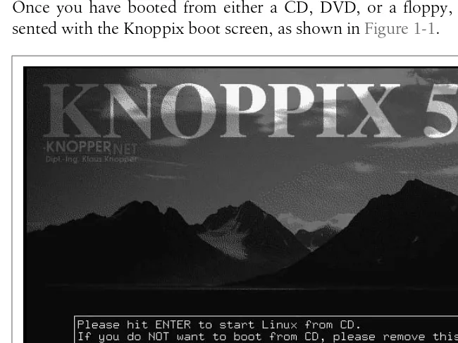 Figure 1-1. The Knoppix boot screen