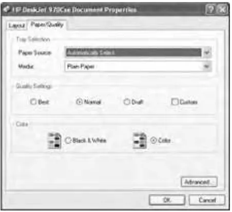 Figure 4-6Printing options in the Properties dialog box