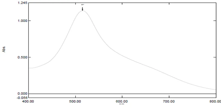 Gambar 2.1 Kurva serapan maksimum larutan DPPH 40 ppm dalam metanol    menggunakan spektrofotometer UV-Visibel 