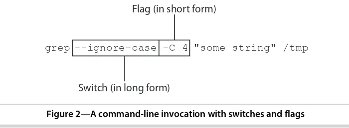 Figure 2—A command-line invocation with switches and flags