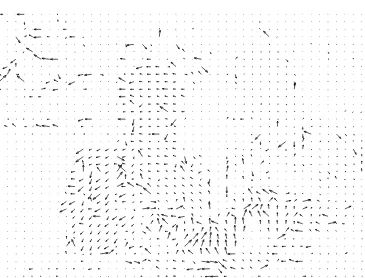 Figure 3.22Motion vector map (4 × 4 blocks, quarter-pixel vectors)