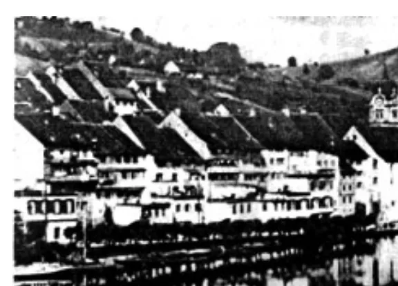 Figure 13–1  Swiss town, an example of organic order, without a master plan.3