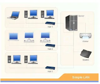 Gambar 2.4 Local Area Network 