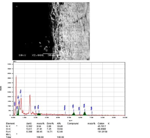 Gambar 5.     Tampang lintang mikrograf SEM-EDAX dari cuplikan SS 316 L setelah nitridasi ion pada suhu 