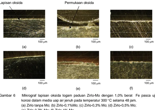 Gambar  6        Mikrograf  lapisan  oksida  logam  paduan  Zirlo-Mo  dengan  1,0%  berat    Fe  pasca  uji  korosi dalam media uap air jenuh pada temperatur 300 C selama 48 jam