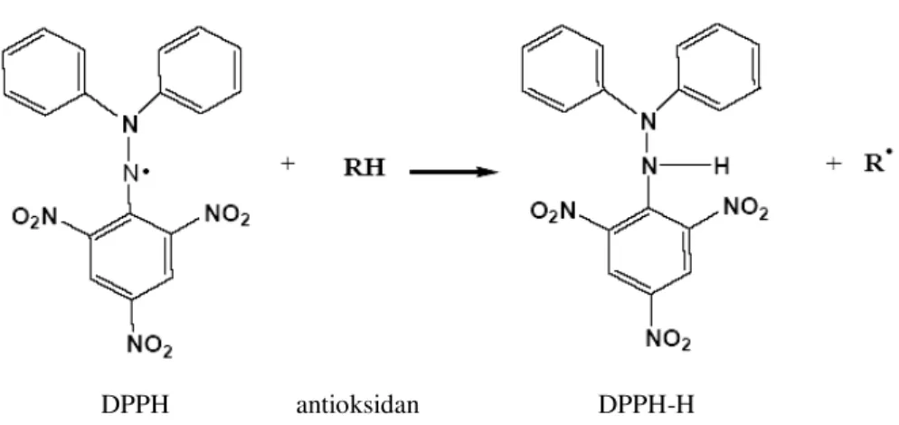 Gambar 1.   Reaksi Penangkapan Radikal oleh DPPH (Molyneux, 2004)  Data  %  aktivitas  antioksidan  yang  diperoleh,  dihitung  nilai  EC 50  dengan 