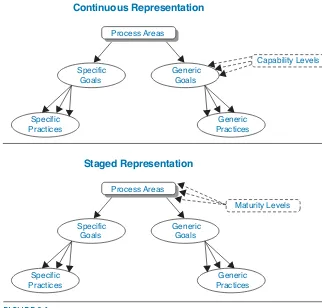 FIGURE 3.1Structure of the Continuous and Staged Representations