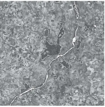 Figure 6.3. Detection images by Bayesian inference of the classes city, river and C3in the scene of Vignola by fusing 6 SPOT satellite images