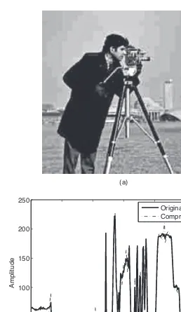 Figure 1.5(a) Cameraman image showing blocking artifacts due to quantization of the DCTcoefﬁcients