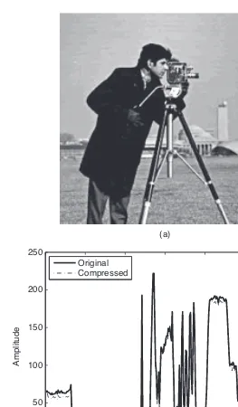Figure 1.7(a) Cameraman image compressed using one-level 2D DWT. (b) Intensity proﬁle ofimage in Figure 1.8a along row number 164.