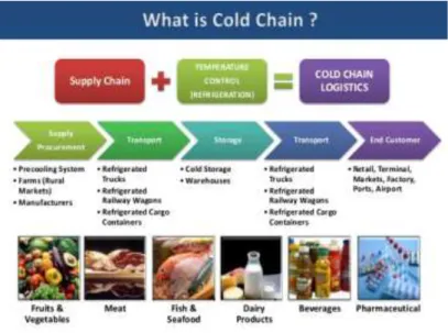 Gambar 3 Cold Chain Management 